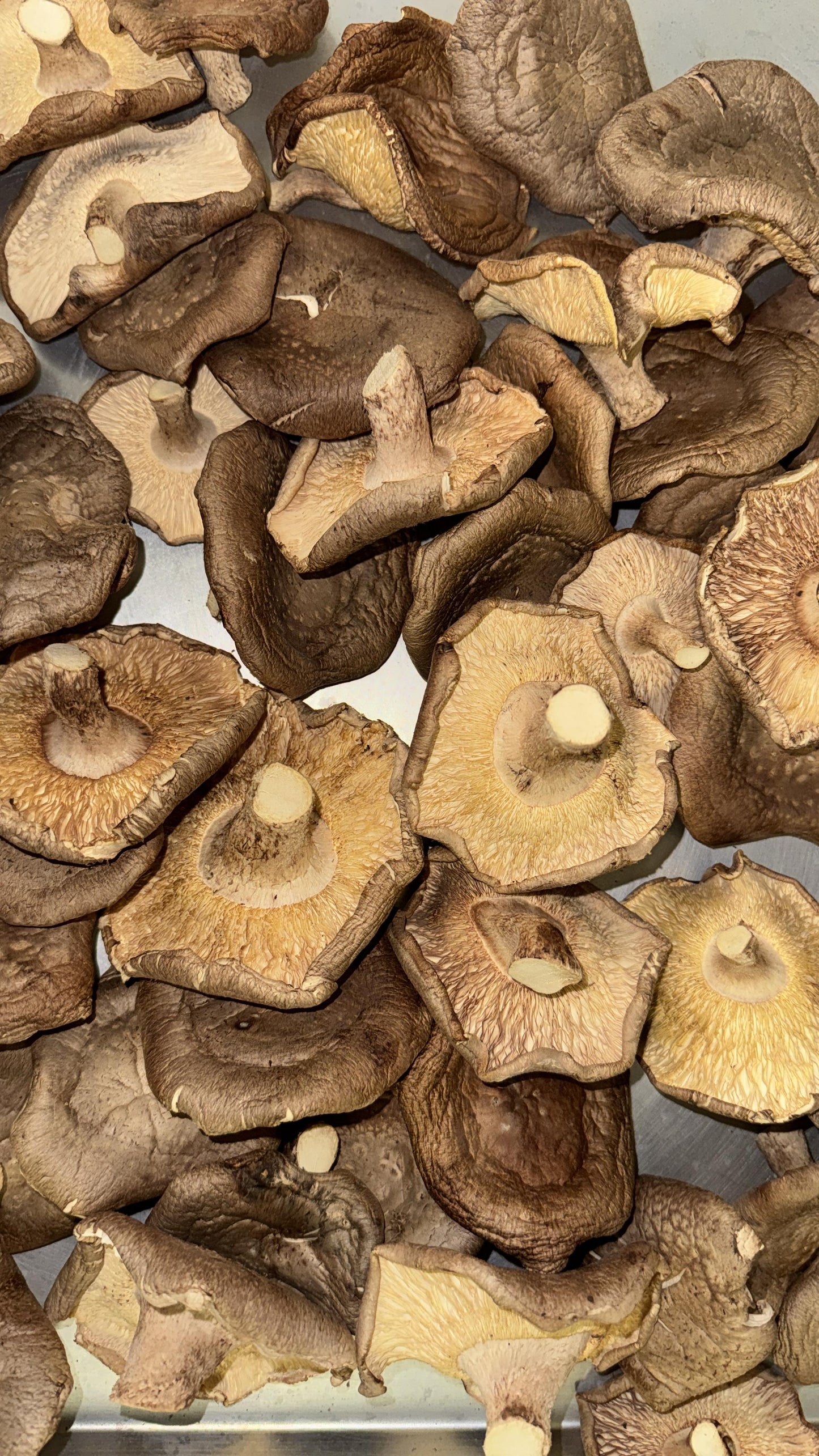 Bulk Dried Shitake Mushrooms (1 lb bag)