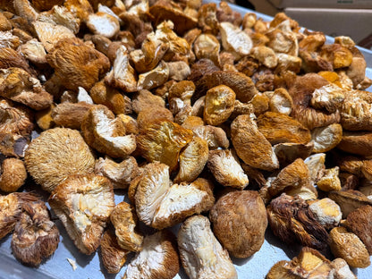 Bulk Dried Lions Mane Mushrooms (1 lbs bag)