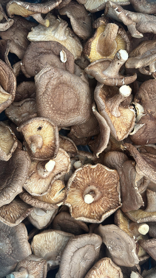 Bulk Dried Shitake Mushrooms (1 lb bag)