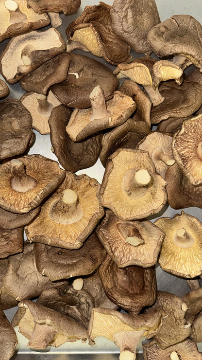 Bulk Dried Shitake Mushrooms (1 lb bag)