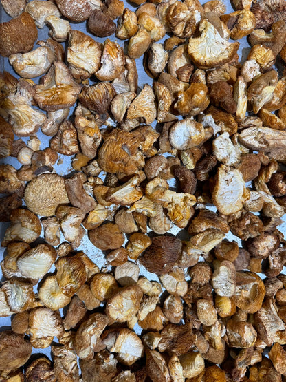 Bulk Dried Lions Mane Mushrooms (1 lbs bag)
