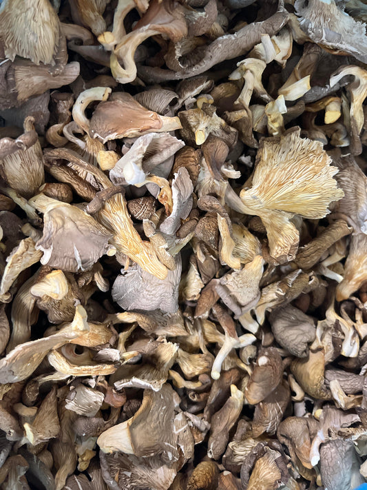 Bulk Dried Oyster Mushrooms (1 lb bag)
